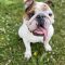 Winston