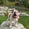 Winston
