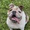 Winston
