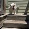 Cooper