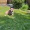 Lucy